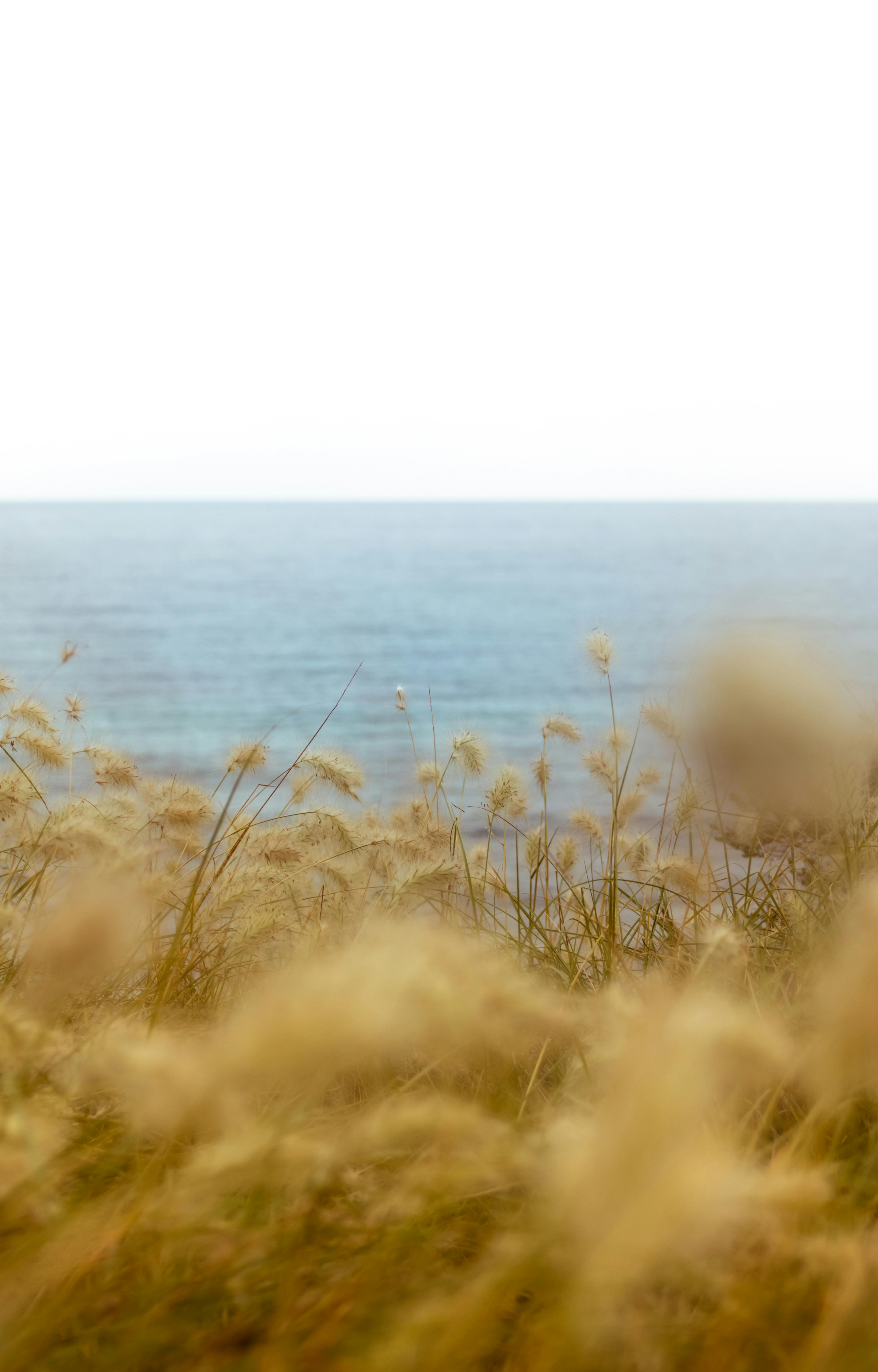 Psychologue clinicienne et Haptopsychothérapeute